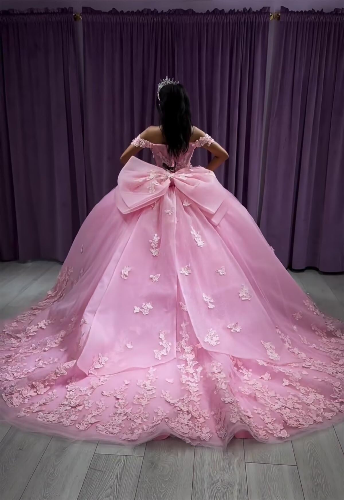Quinceanera Ball Gown  Sweet 16